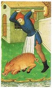 medieval pig