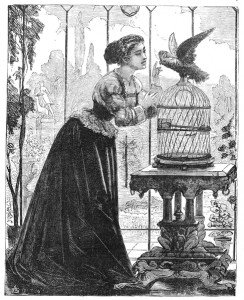 Who was really in the cage, the bird or the lady?